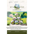 Scenic Town Landscape PET Sticker Roll | 6-Roll Cottagecore Set - SummitGH